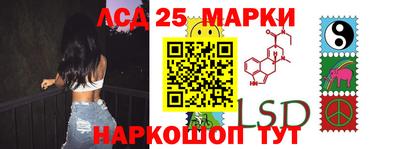 прущие грибы Шелехов