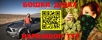 СК Шебекино