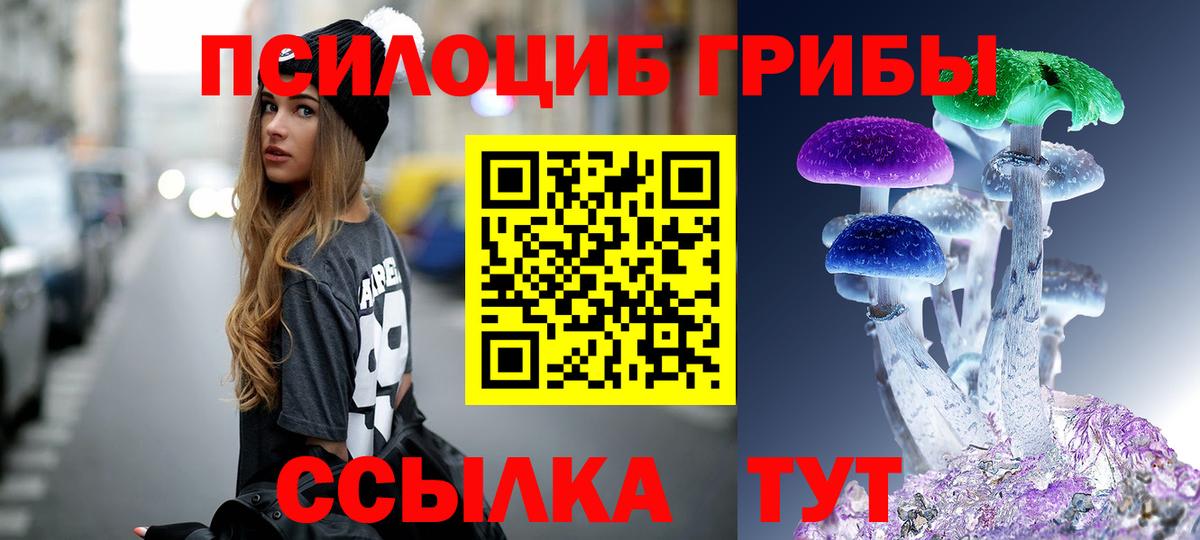Псилоцибиновые грибы Psilocybine cubensis  Вход с VPN  Сызрань 